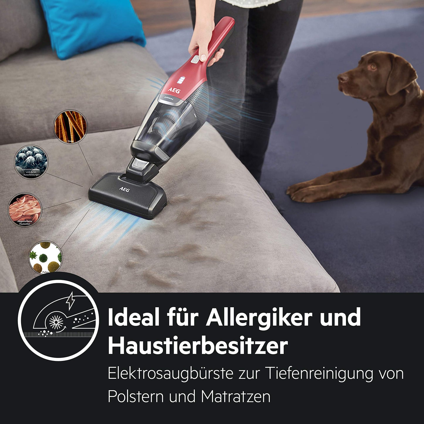 AEG Ergorapido CX7-2-45AN 2in1 Akku-Staubsauger / beutellos / Tierhaardüse / bis zu 45 Min. Laufzeit / freistehend / 180° Drehgelenk